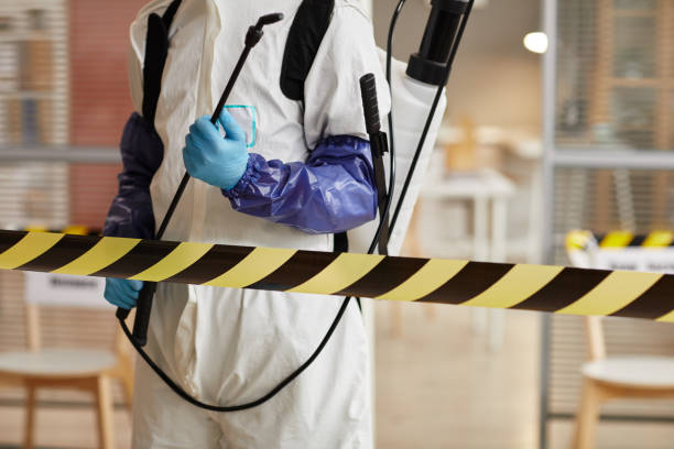 Professional Sewage Cleanup technician working in Crystal City, TX
